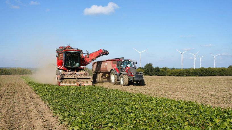 Visão estratégica e gestão do campo: entenda o papel do engenheiro agrônomo na tomada de decisões eficientes no agronegócio, com Alfredo Moreira Filho.